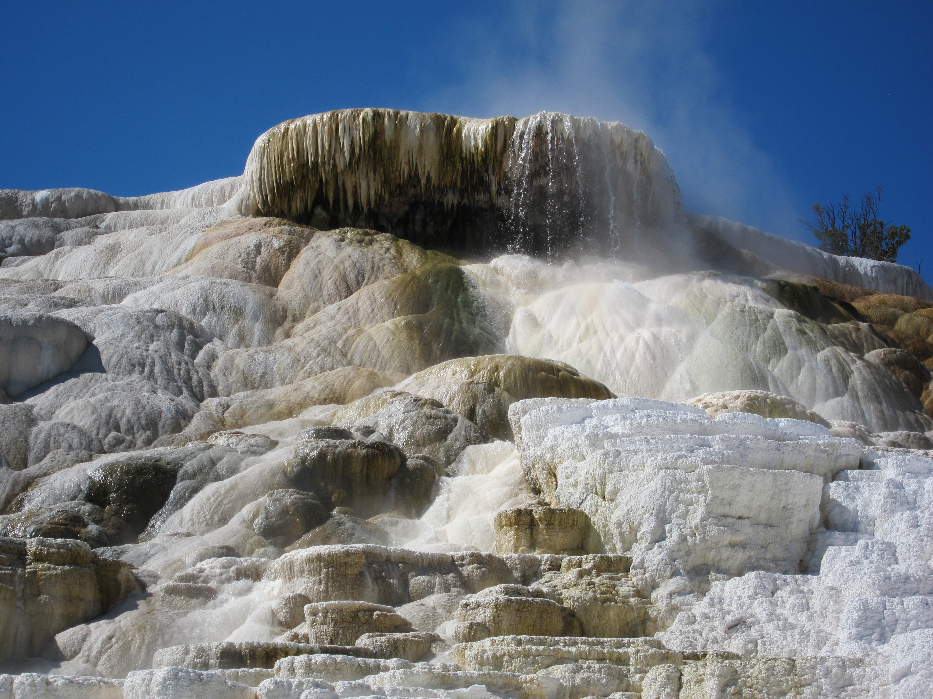 Mammoth Hot Springs at Yellowstone National Park Nonstop from JFK
