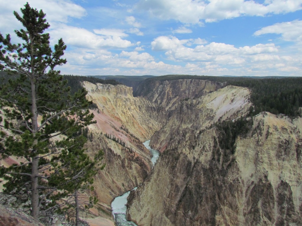 grand canyon of yellowstone national park
